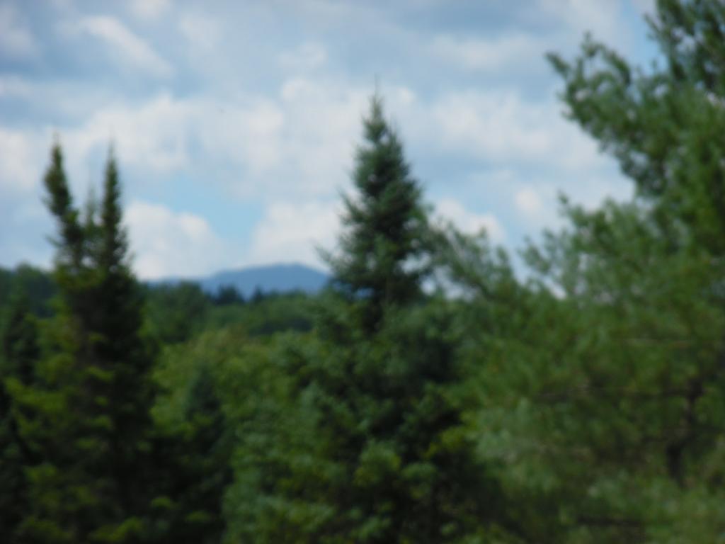 332 Fitzgerald Road Morristown, VT 05661 - Photo 19 of 23