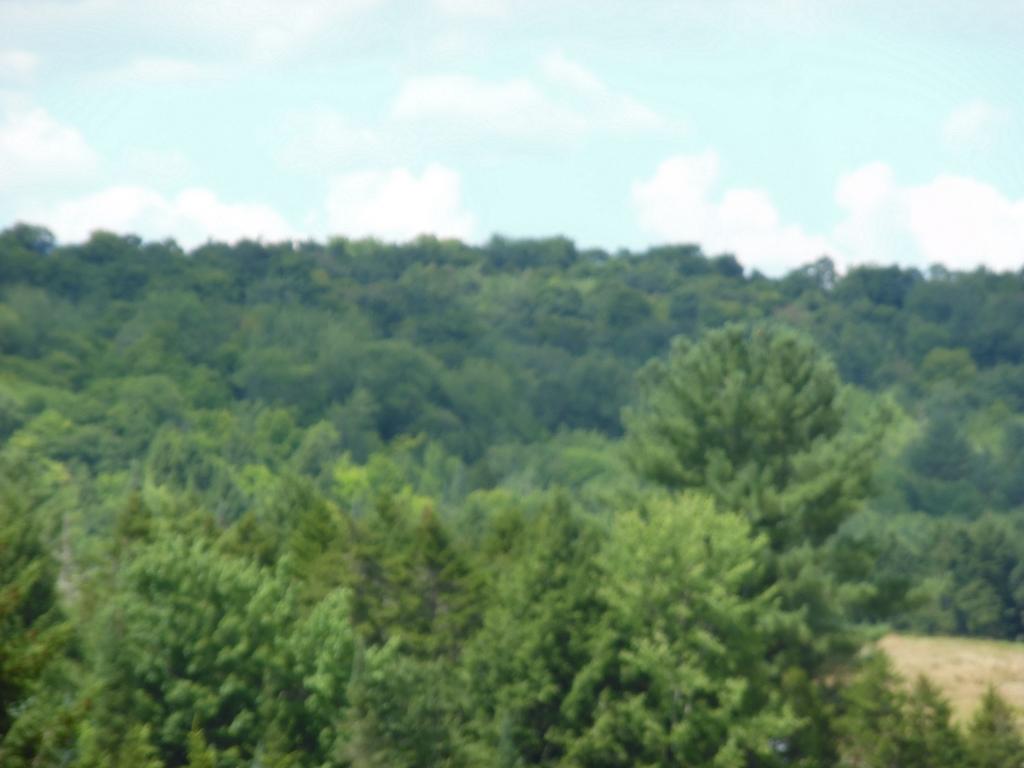 332 Fitzgerald Road Morristown, VT 05661 - Photo 21 of 23