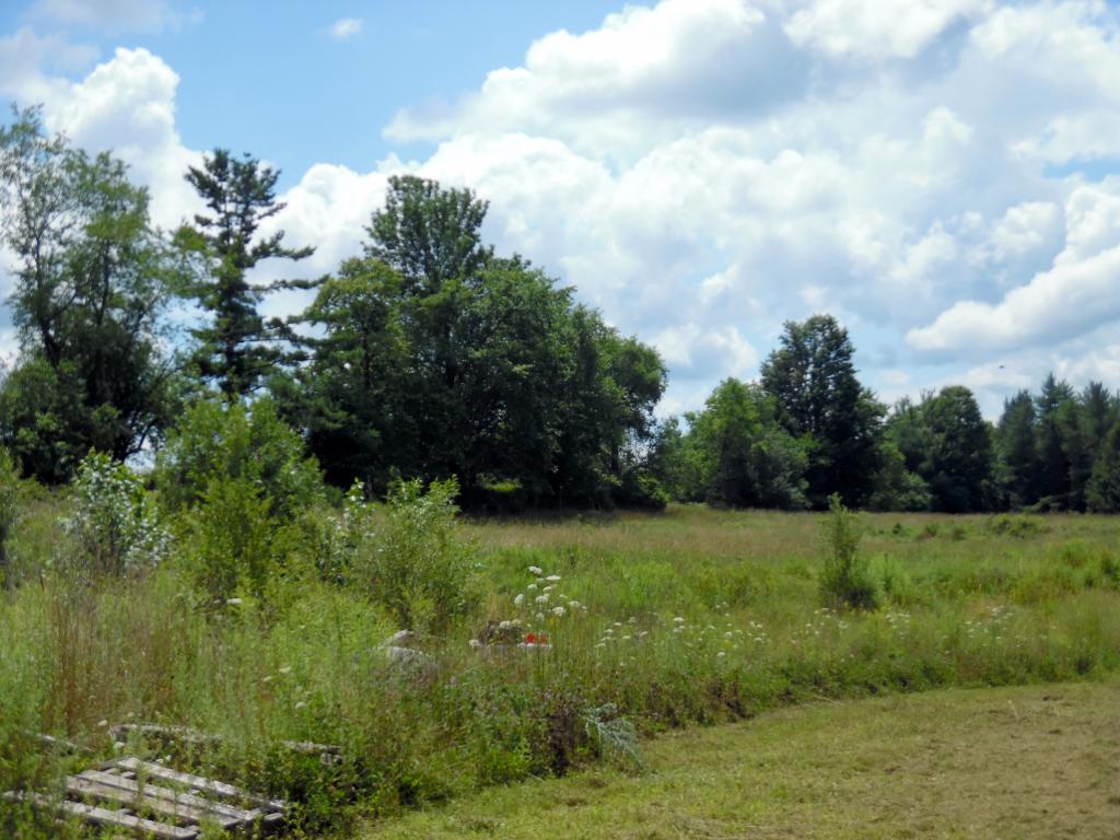 332 Fitzgerald Road Morristown, VT 05661 - Photo 22 of 23