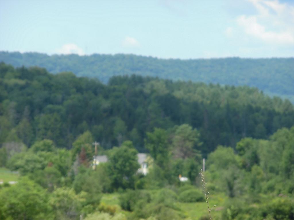332 Fitzgerald Road Morristown, VT 05661 - Photo 5 of 23