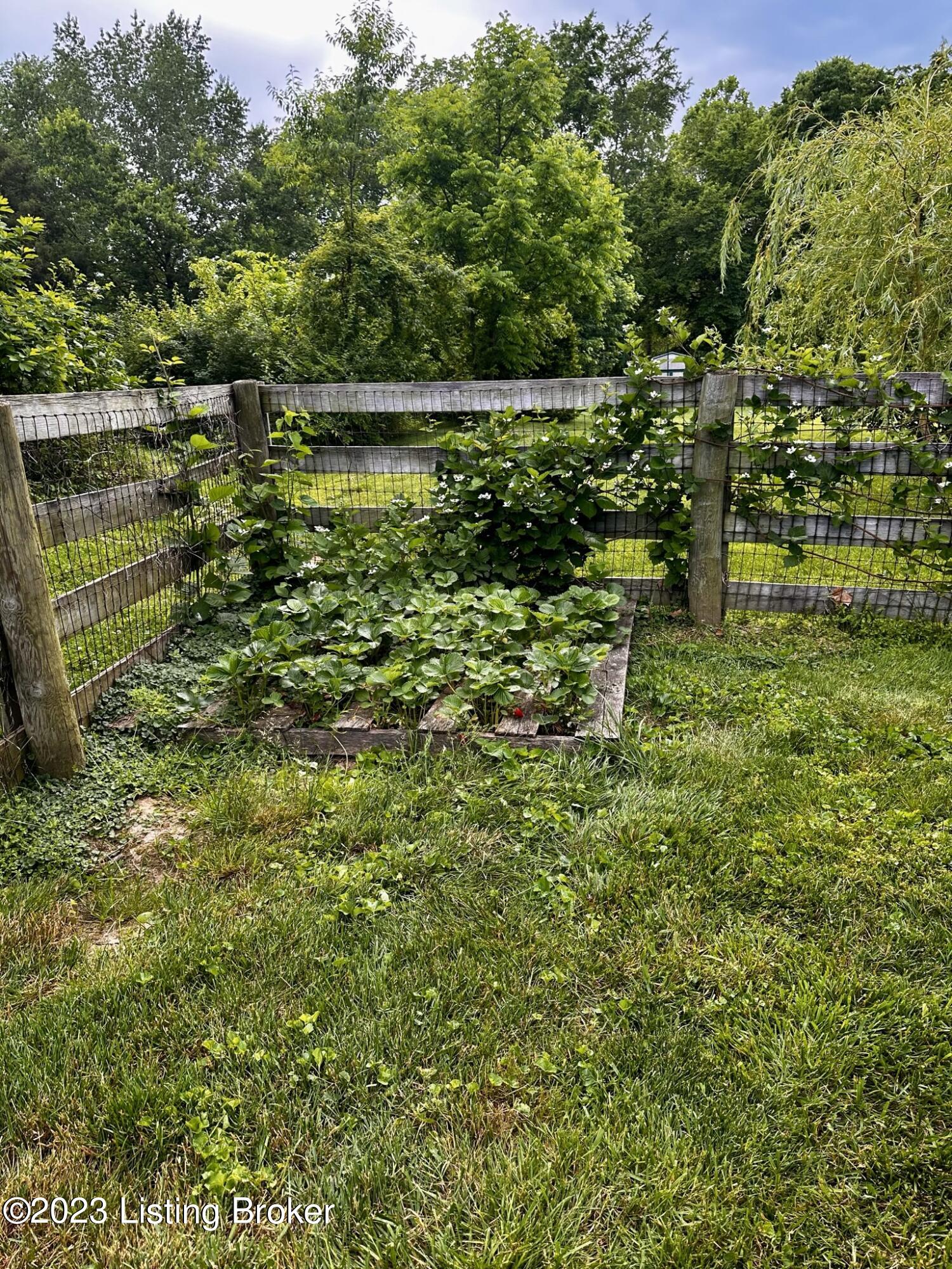 5108 Fox Run Road Buckner, KY 40010 - Photo 31 of 35 veggies