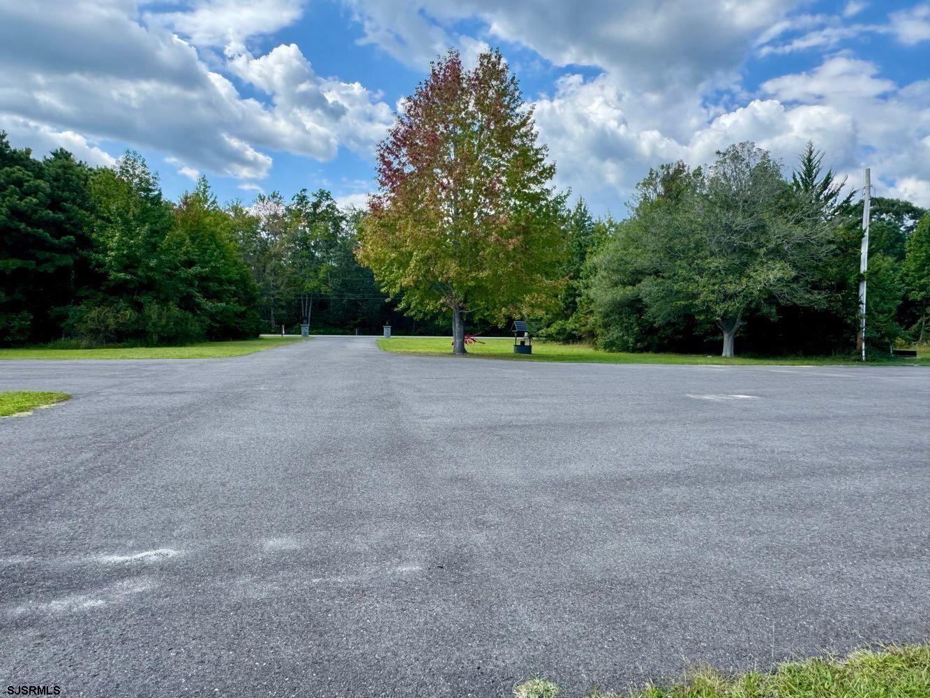 1309 Tyler Road Woodbine, NJ 08270 - Photo 3 of 84