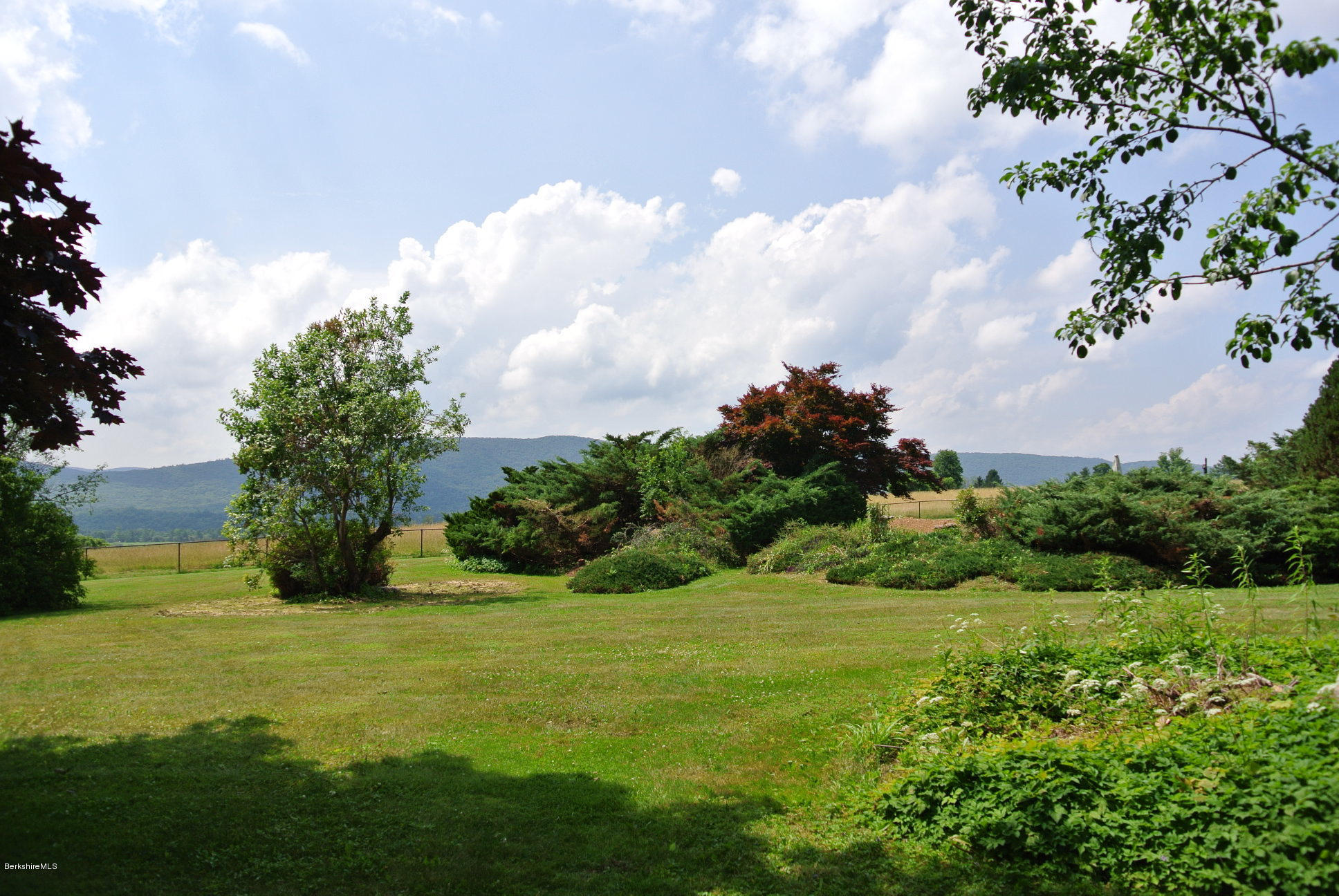 25 Prospect Hill Road Stockbridge, MA 01262 - Photo 3 of 30 a view of a garden with an trees