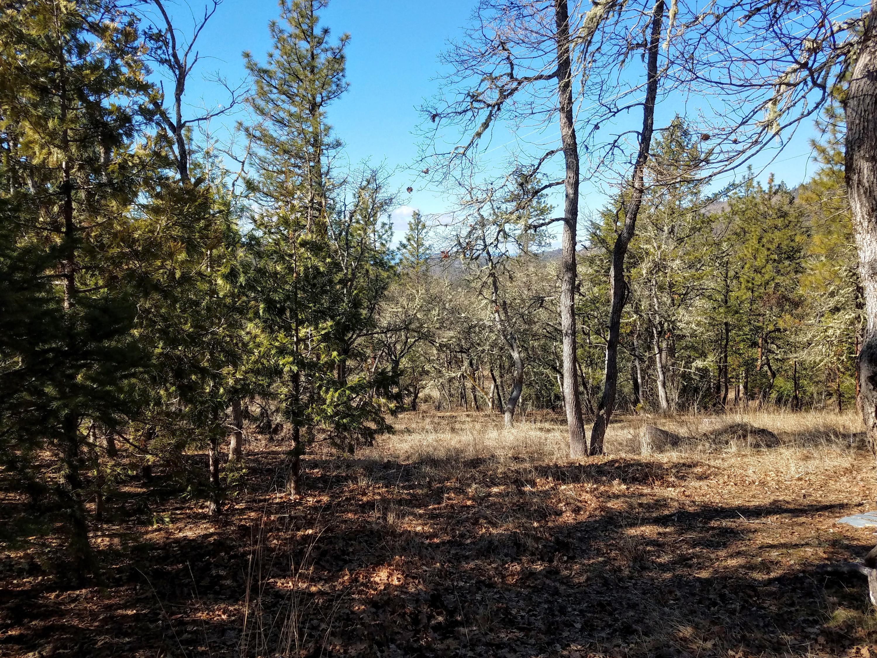 10900 East Antelope Road Eagle Point, OR 97524 - Photo 24 of 27 006 20210223_142631