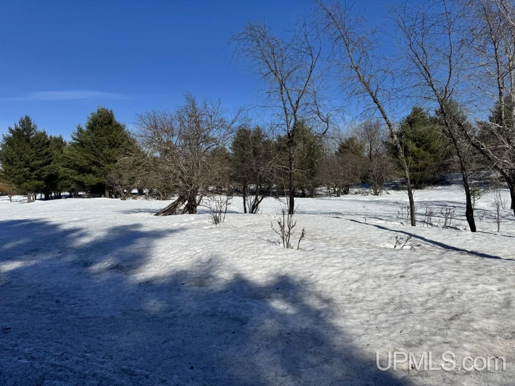 Tbd Bellaire Road Baraga, MI 49908 - Photo 18 of 20