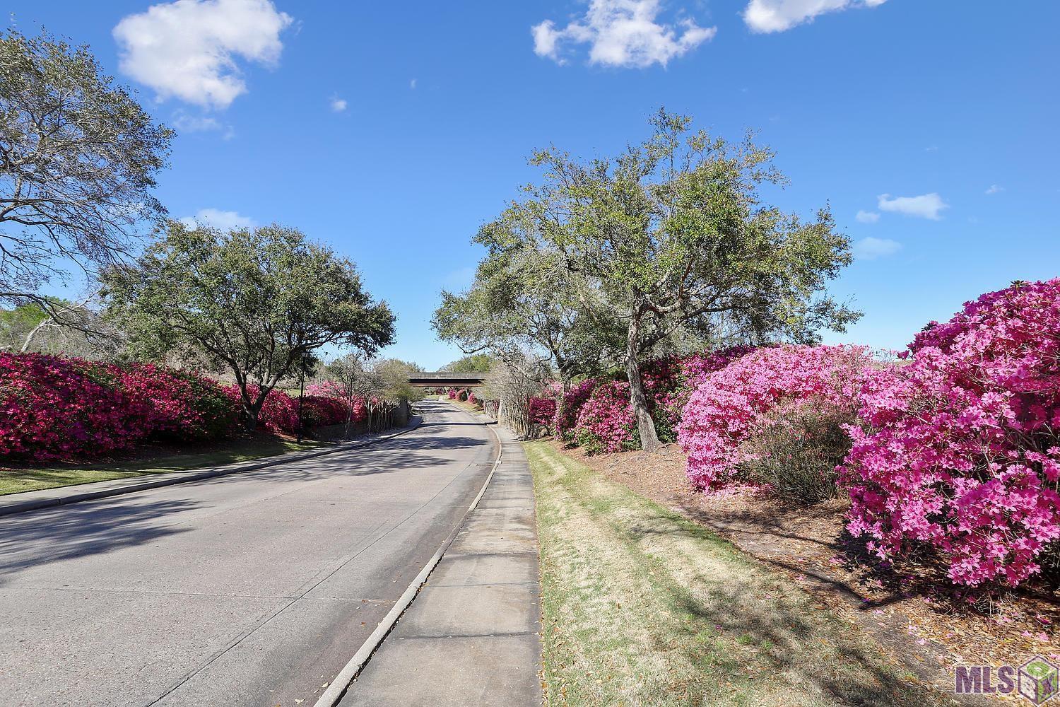 19110 South Trent Jones Drive Baton Rouge, LA 70810 - Photo 38 of 44