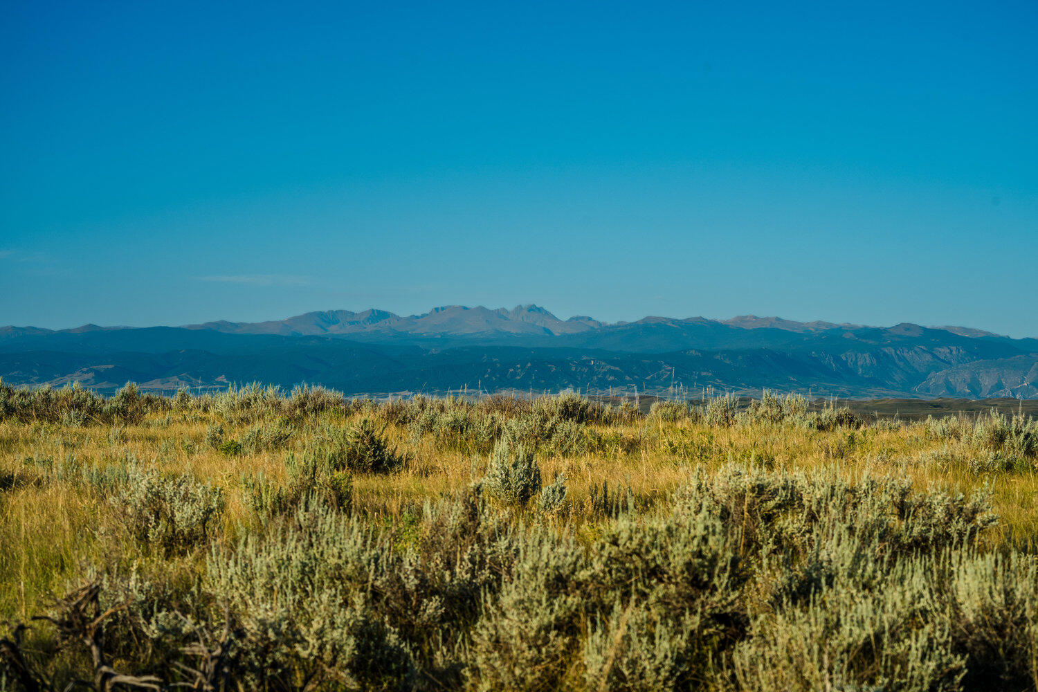 Sr Road, Unit /411 Wyarno, WY 82845 - Photo 31 of 39 050_dsc_3419_309