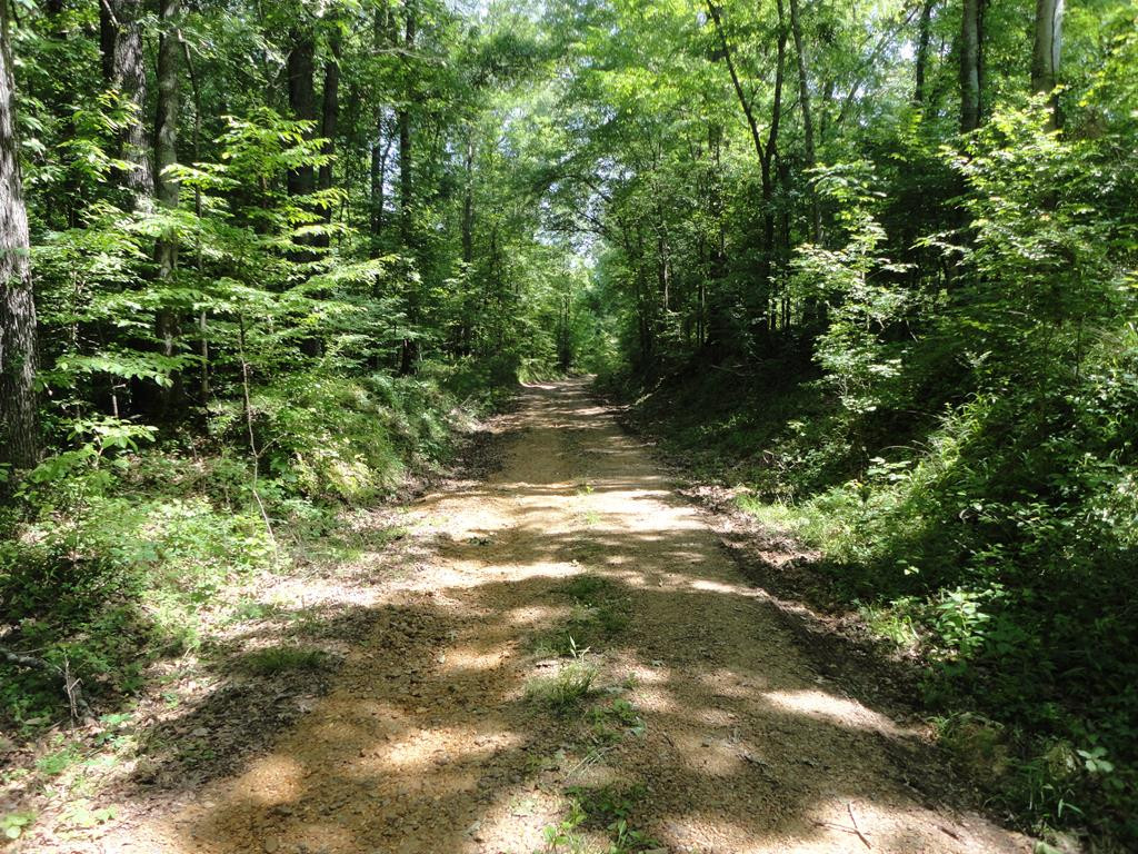 0 Hill Road Port Gibson, MS 39150 - Photo 1 of 14 Main View