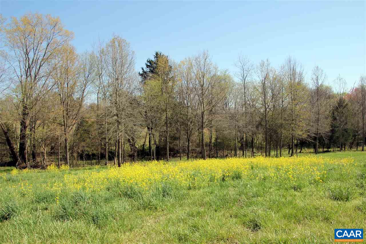 3374 Twymans Mill Road Orange, VA 22960 - Photo 30 of 50 Gallery Image 30