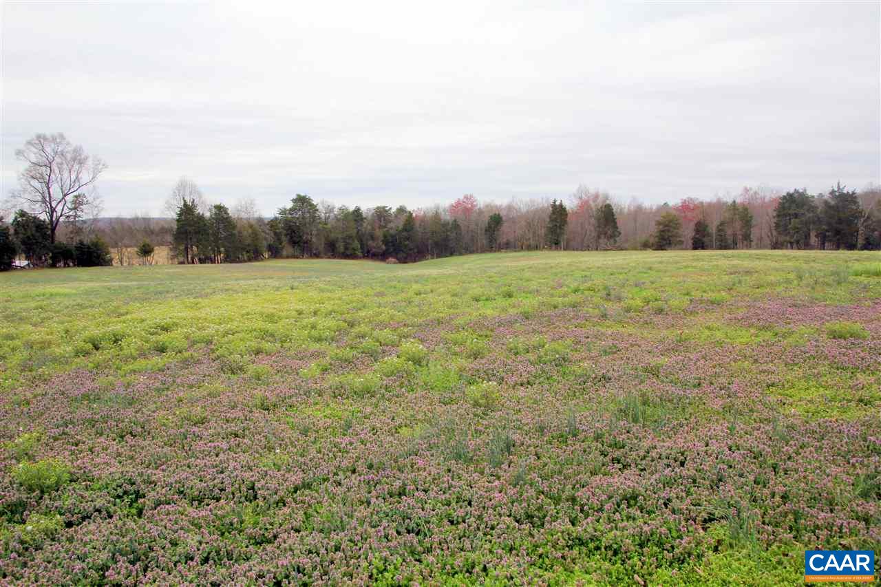 3374 Twymans Mill Road Orange, VA 22960 - Photo 36 of 50 Gallery Image 36
