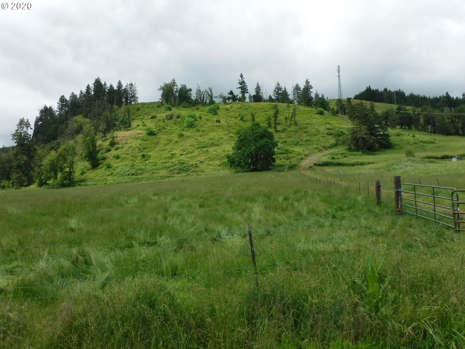 4235 Elkhead Road Yoncalla, OR 97499 - Photo 12 of 18