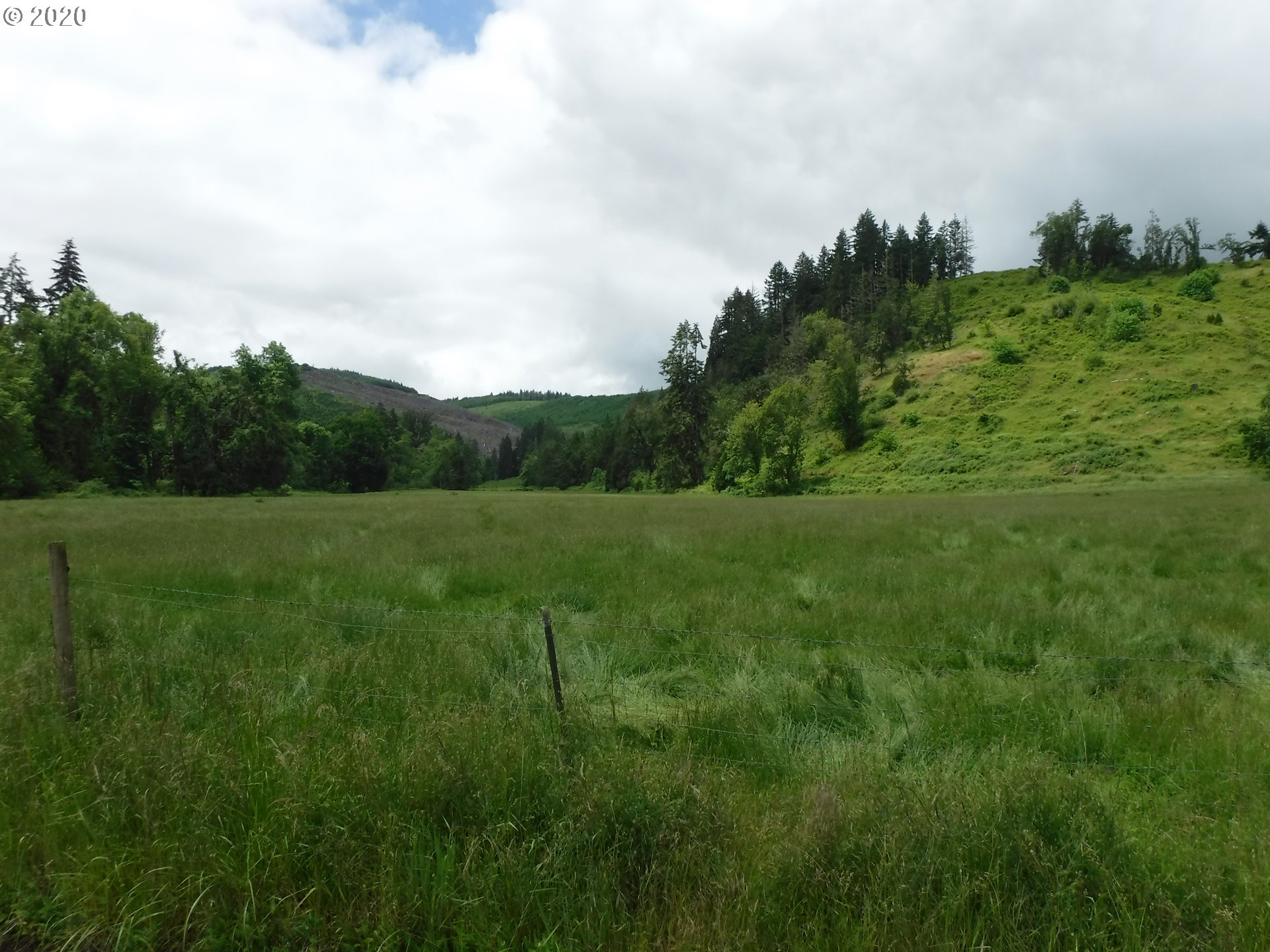 4235 Elkhead Road Yoncalla, OR 97499 - Photo 13 of 18