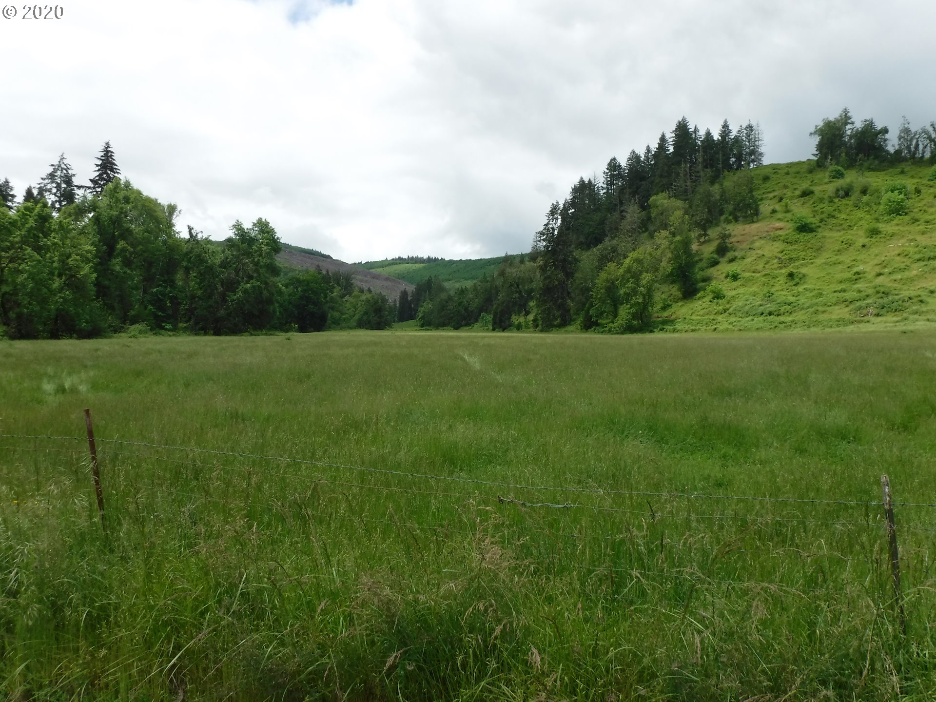 4235 Elkhead Road Yoncalla, OR 97499 - Photo 15 of 18