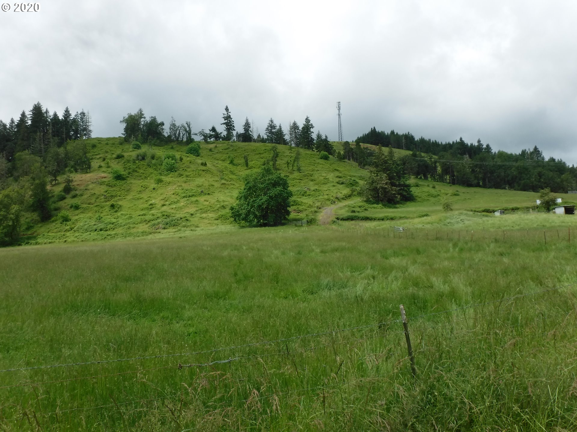 4235 Elkhead Road Yoncalla, OR 97499 - Photo 16 of 18