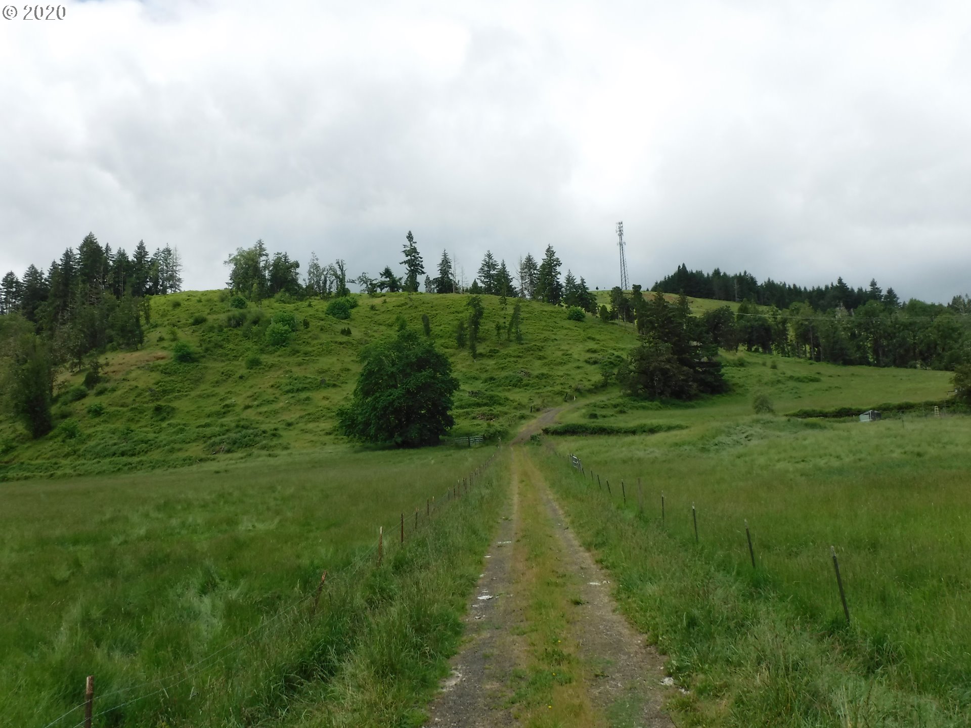 4235 Elkhead Road Yoncalla, OR 97499 - Photo 10 of 18