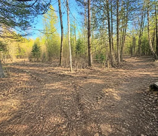 $48,500 | 12.5 Road Wallace Mi 49893, Wallace, MI 49893