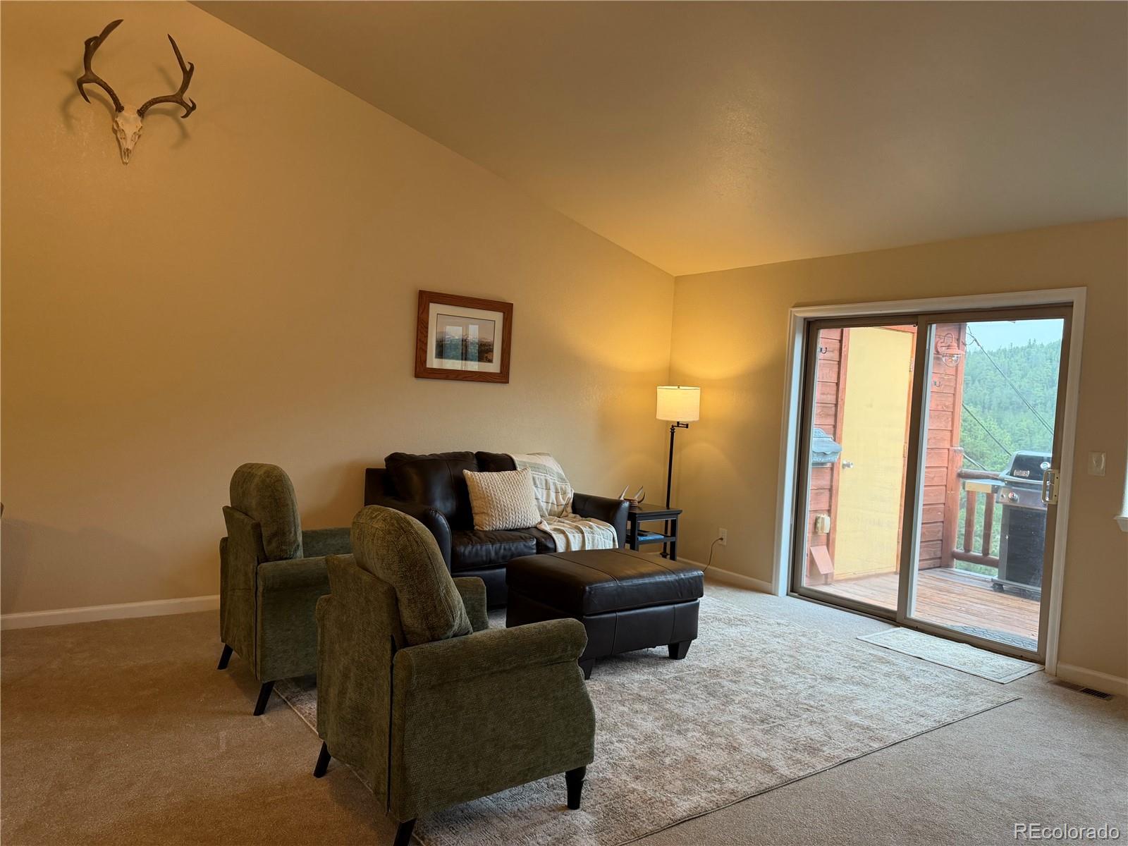303 Virginia Road, Unit E Bailey, CO 80421 - Photo 13 of 27