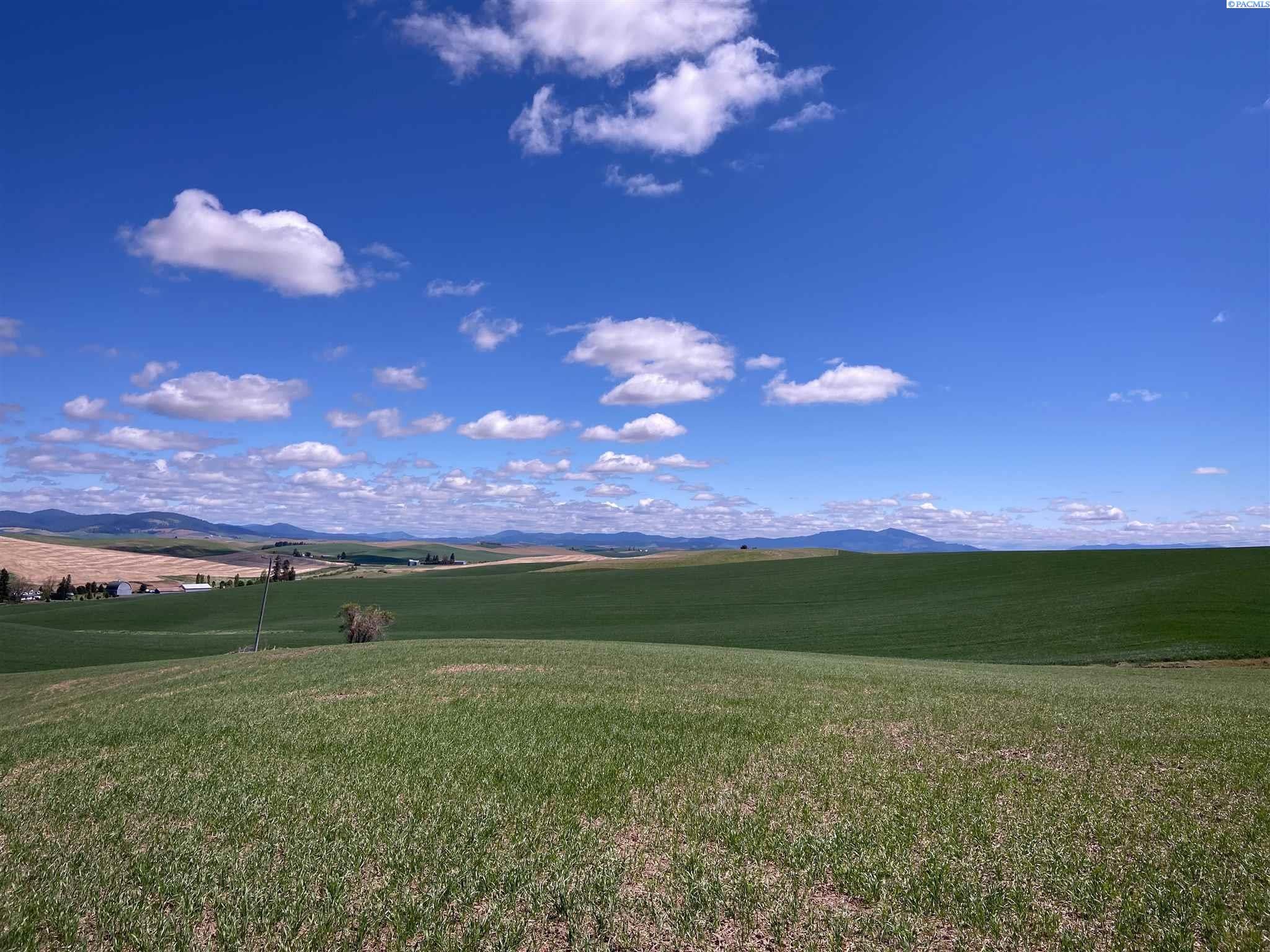 Tbd Tidwell Road Palouse, WA 99161 - Photo 1 of 1 Gallery Image 1