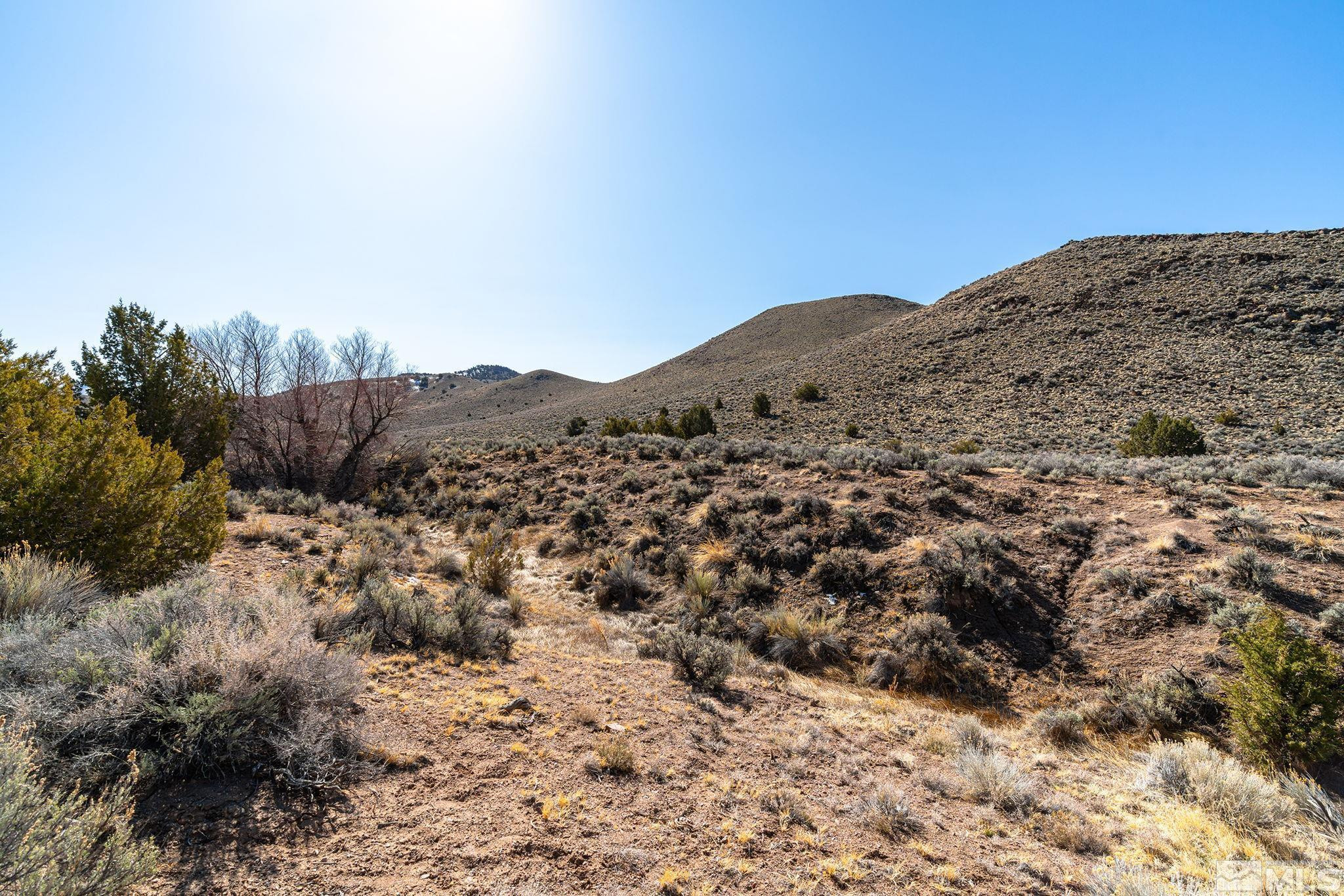 2525 Right Hand Canyon Road Reno, NV 89510 - Photo 8 of 24 a view of a mountain range with a forest