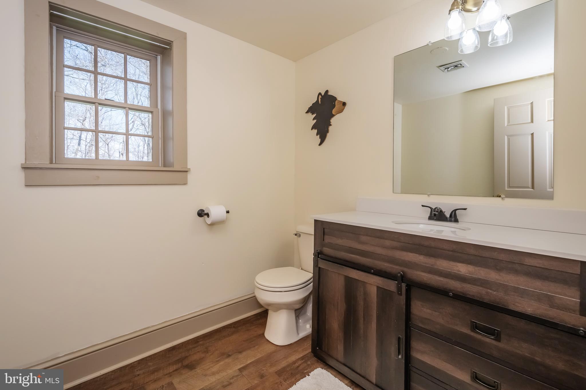 726 Sunset Ridge Drive McHenry, MD 21541 - Photo 33 of 50 a bathroom with a sink a toilet and mirror