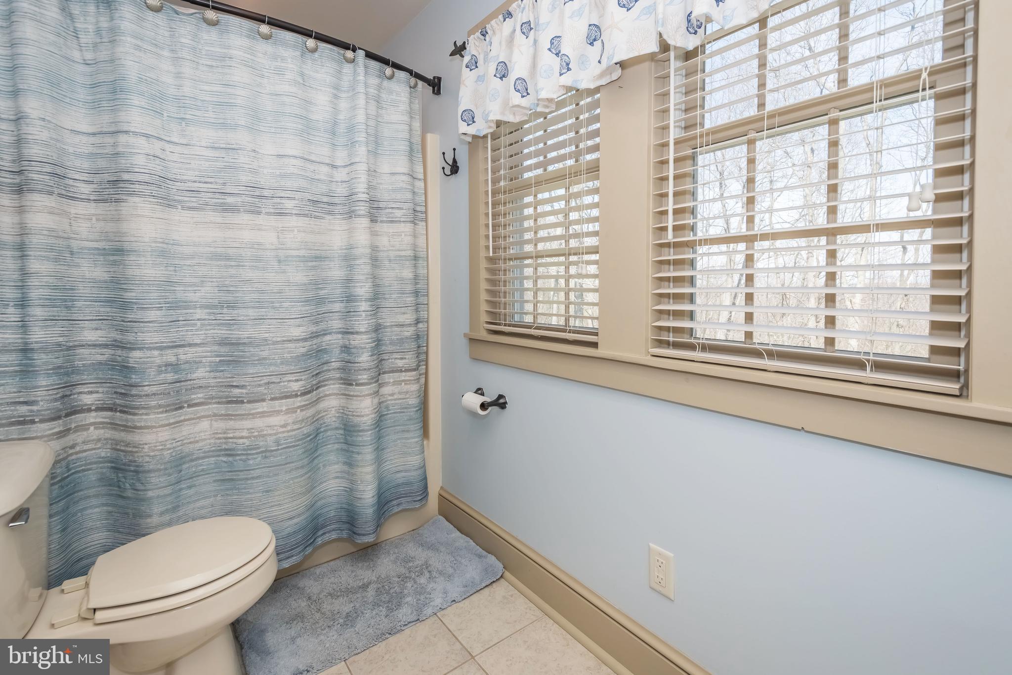 726 Sunset Ridge Drive McHenry, MD 21541 - Photo 38 of 50 a bathroom with a toilet and a shower