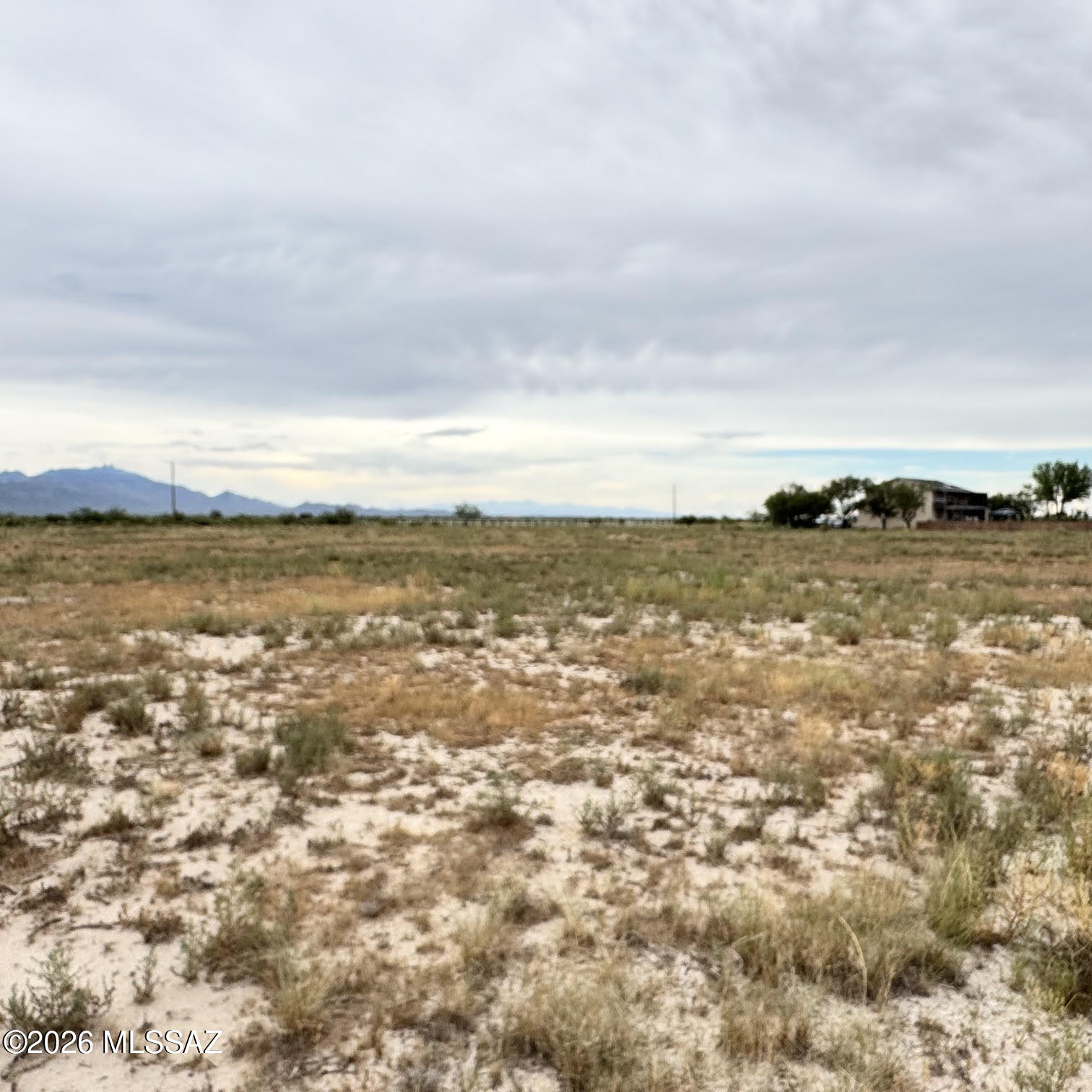 269 West Iron Rose Road Willcox, AZ 85643 - Photo 2 of 34 ir 4