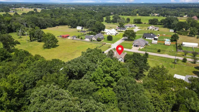 a view of a backyard with large trees