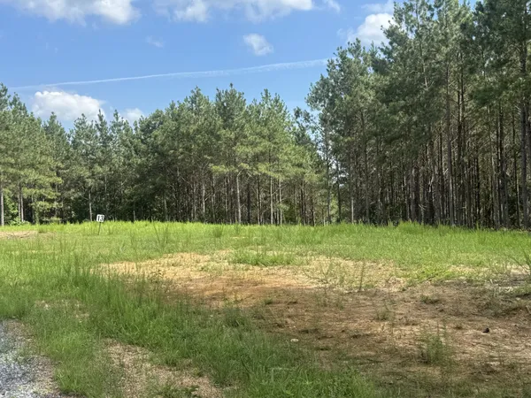 $130,000 | 0 Rustic Pines Road, Dover, TN 37058