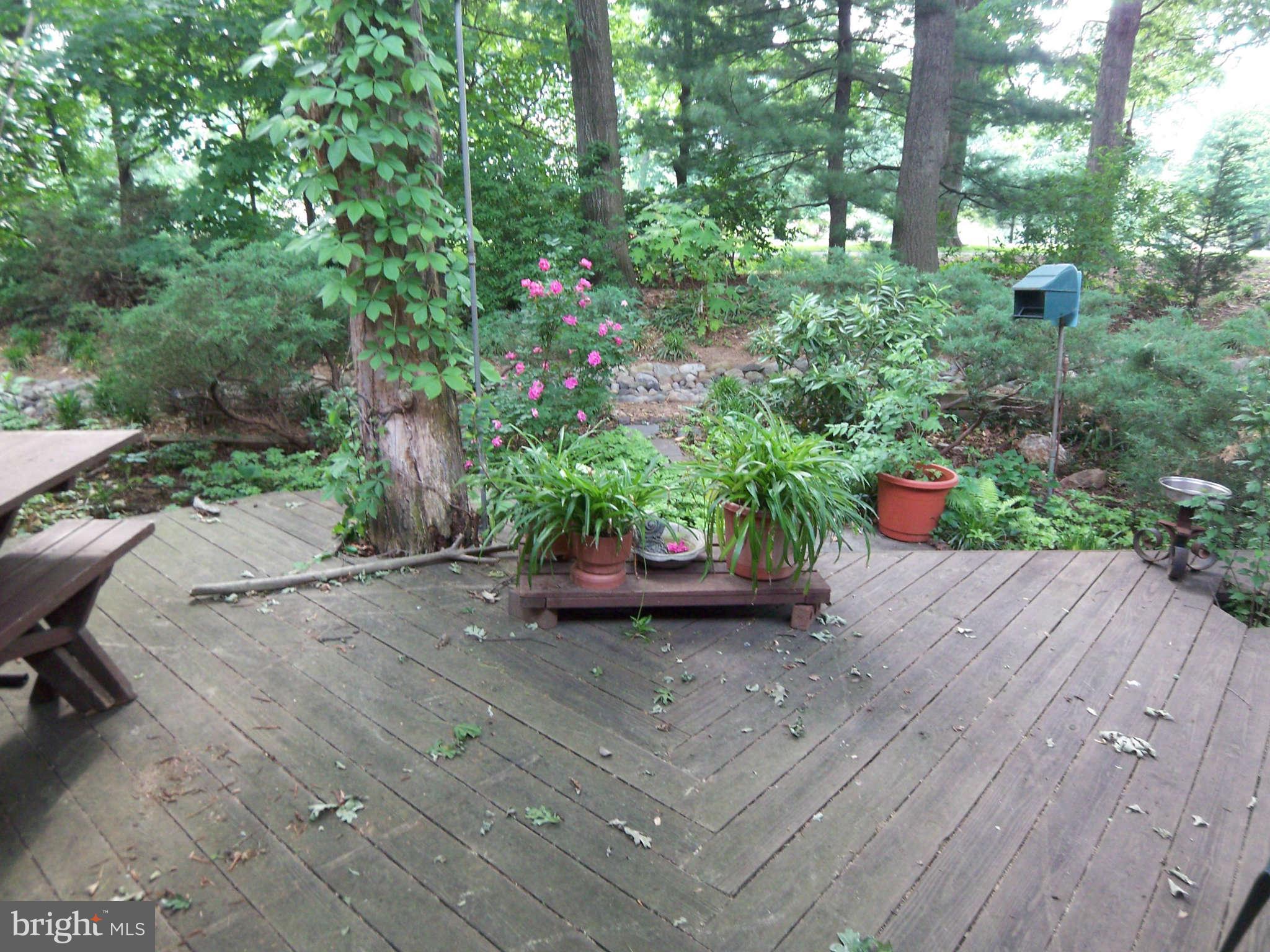 11793 Indian Ridge Road Reston, VA 20191 - Photo 7 of 23 Back Deck View 2