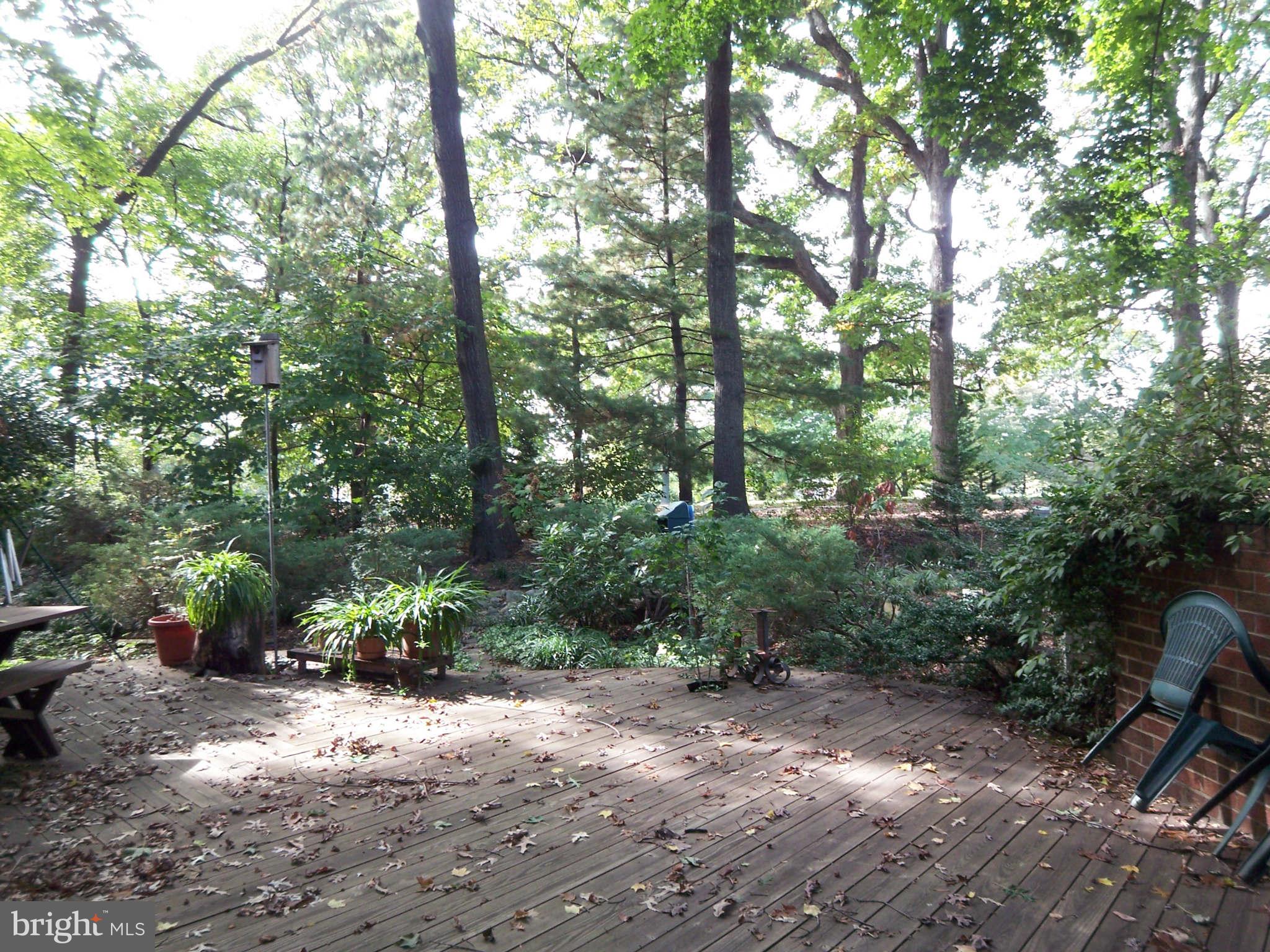 11793 Indian Ridge Road Reston, VA 20191 - Photo 8 of 23 View main level deck