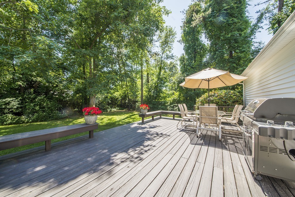 65 Metacomet Road Longmeadow, MA 01106 - Photo 5 of 30 Gallery Image 5