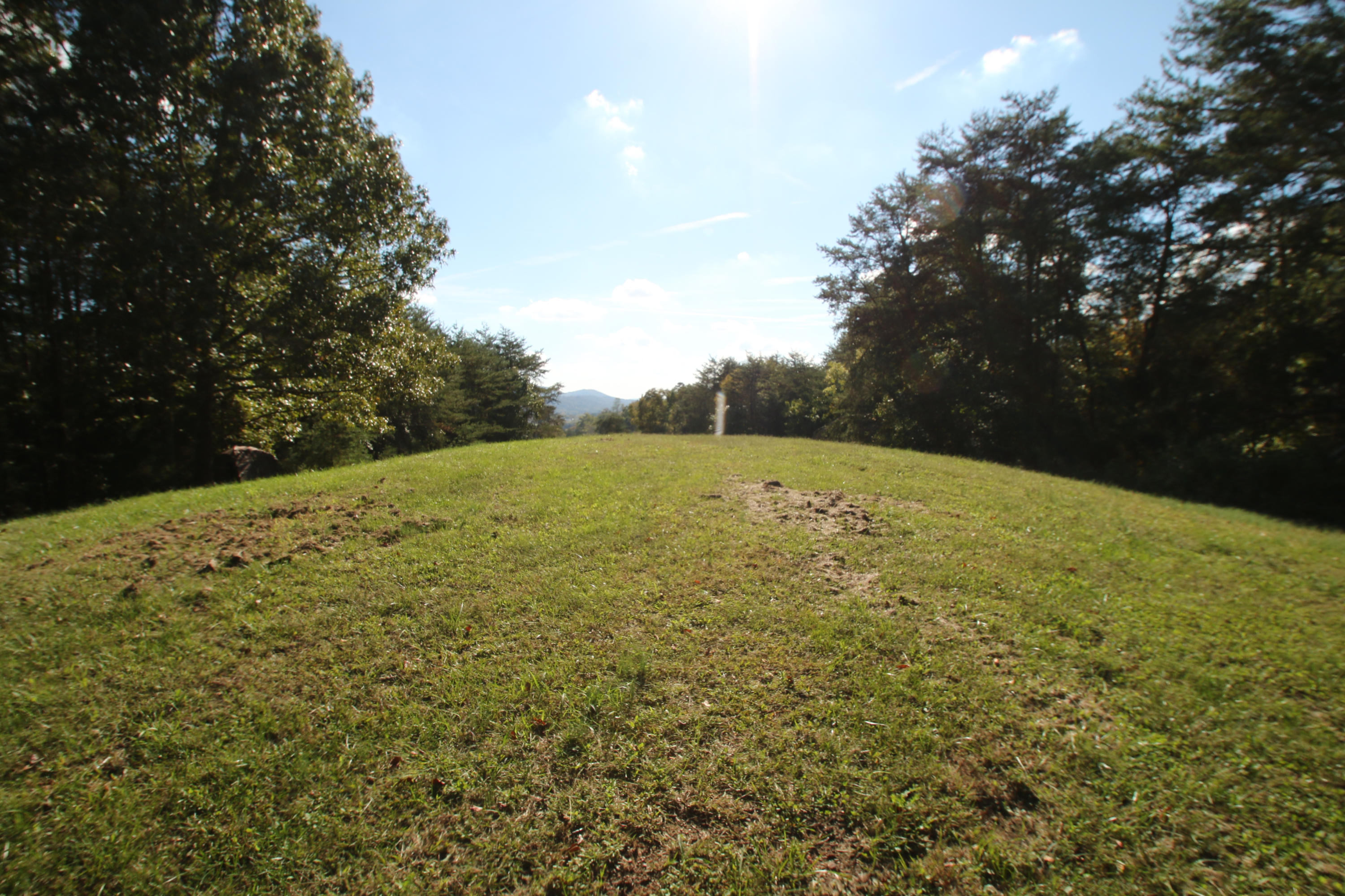 765 Old Stage Coach Road Rutledge, TN 37861 - Photo 19 of 38 Views from all over the property