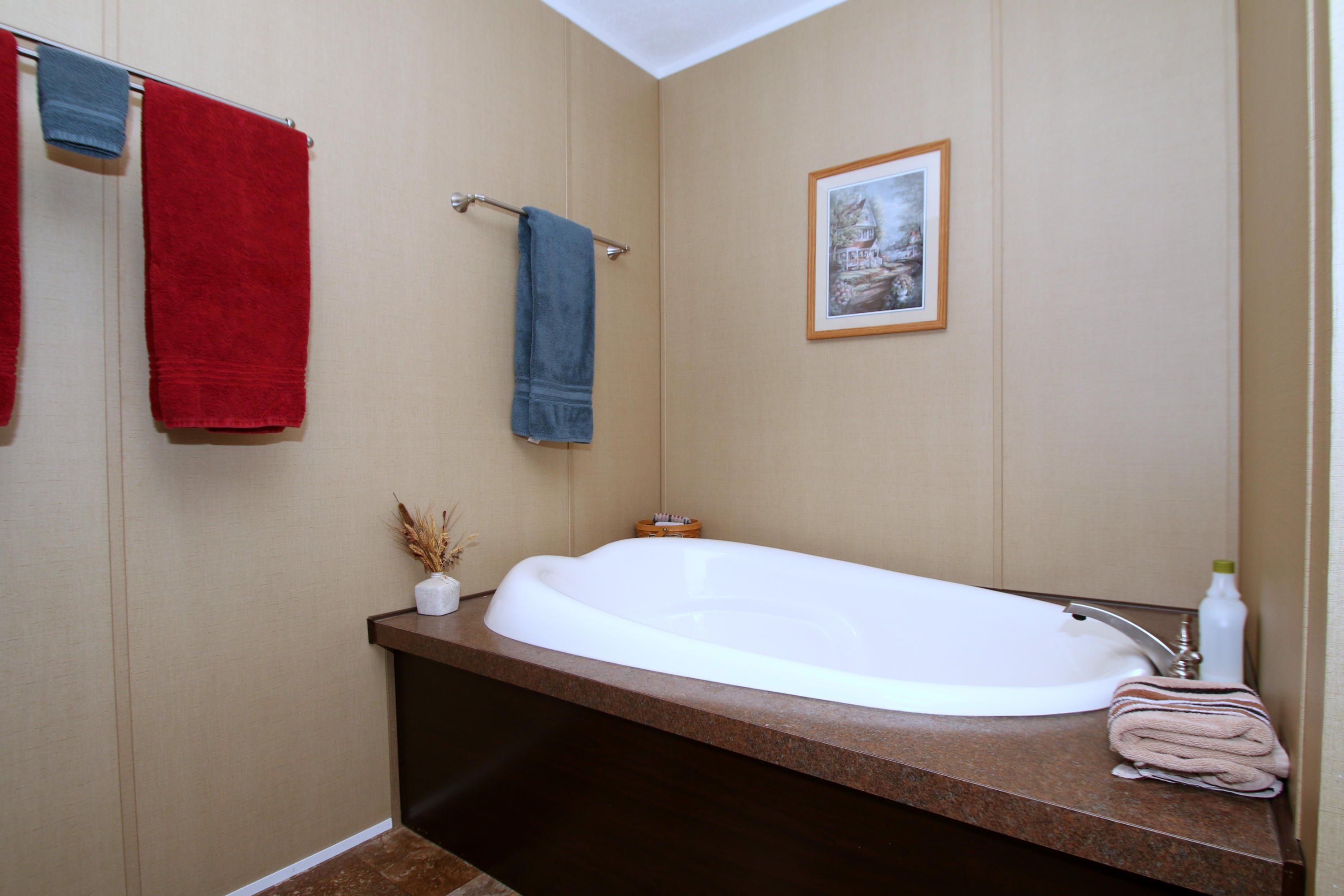765 Old Stage Coach Road Rutledge, TN 37861 - Photo 27 of 38 Master bathroom tub
