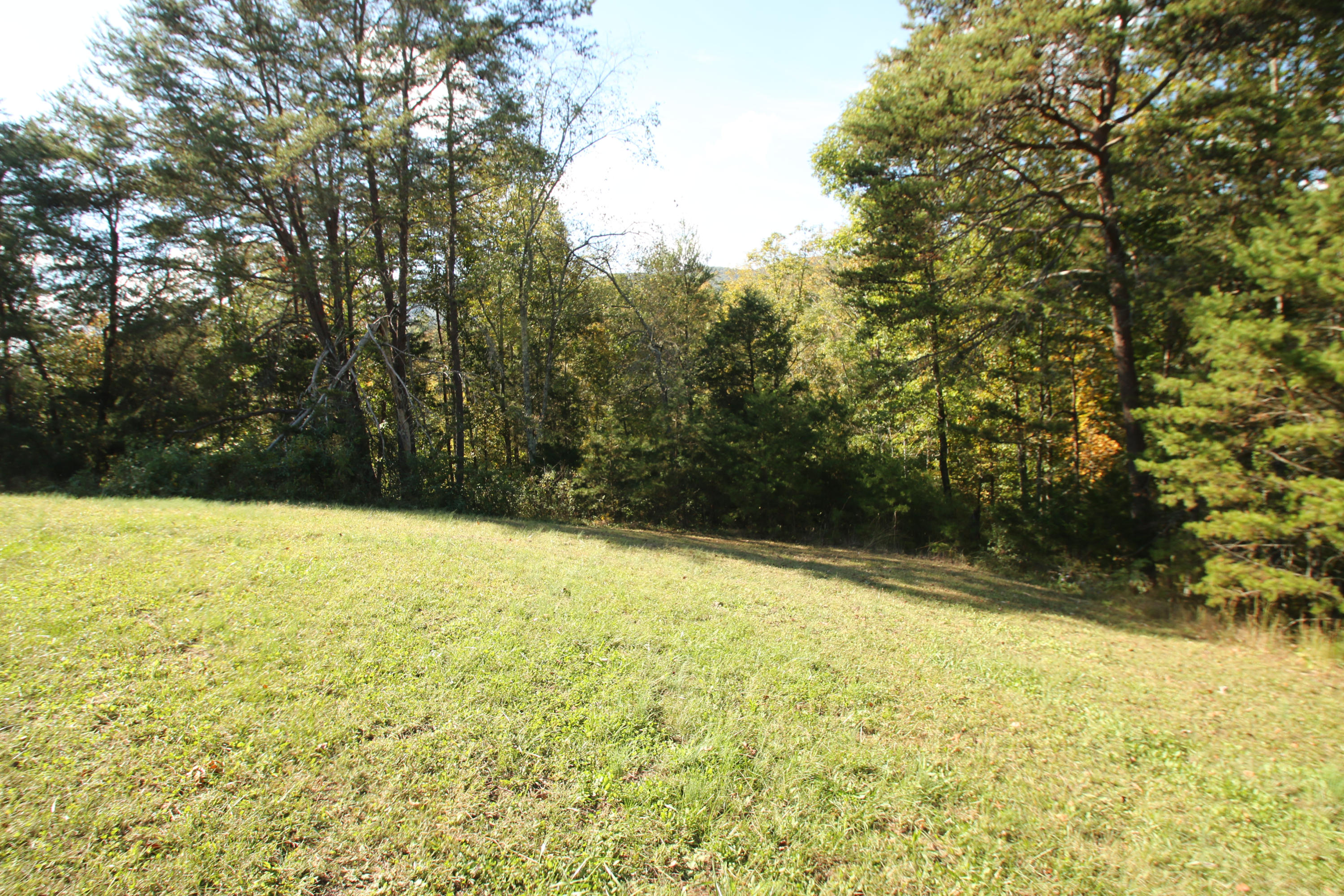 765 Old Stage Coach Road Rutledge, TN 37861 - Photo 33 of 38 A truly exceptional piece of property