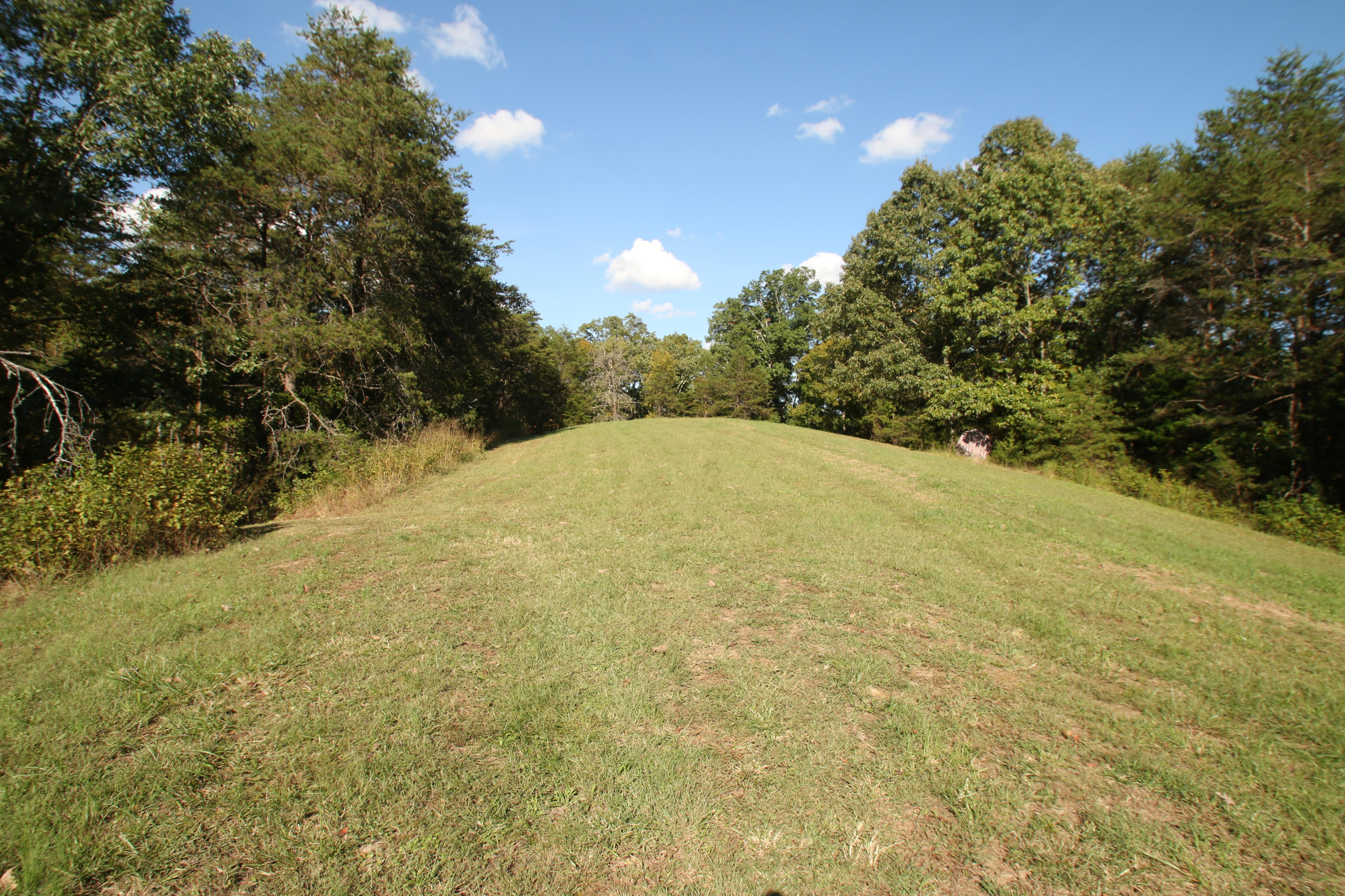 765 Old Stage Coach Road Rutledge, TN 37861 - Photo 35 of 38 A grassy knoll