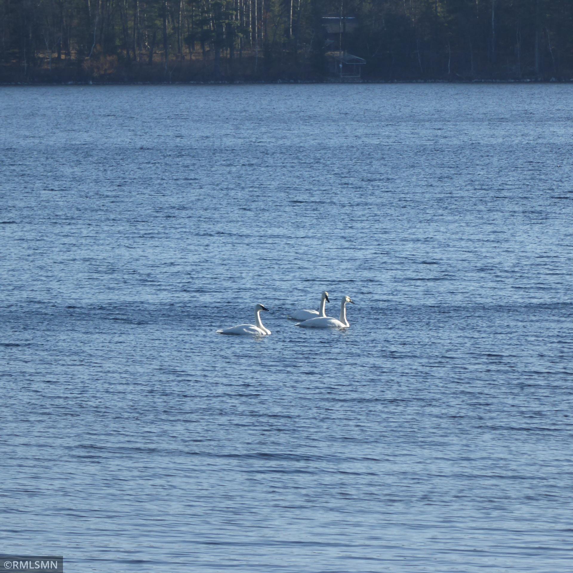 52728 West Grindstone Road Sandstone, MN 55072 - Photo 29 of 33