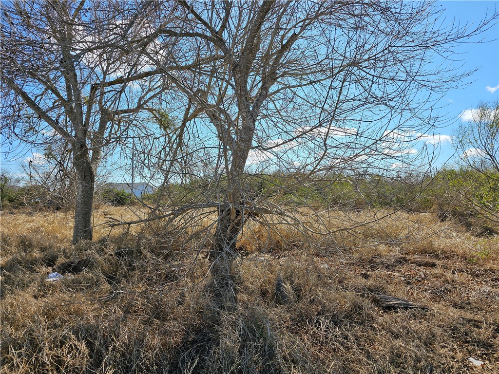 1918 1st Street Bayside, TX 78340 - Photo 1 of 8