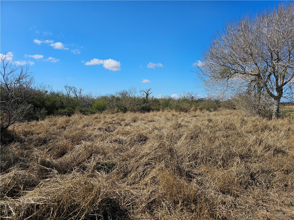 1918 1st Street Bayside, TX 78340 - Photo 2 of 8