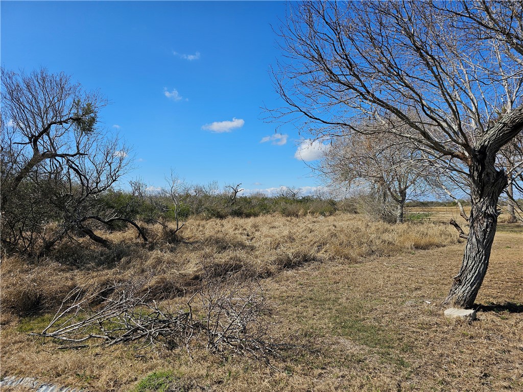 1918 1st Street Bayside, TX 78340 - Photo 3 of 8