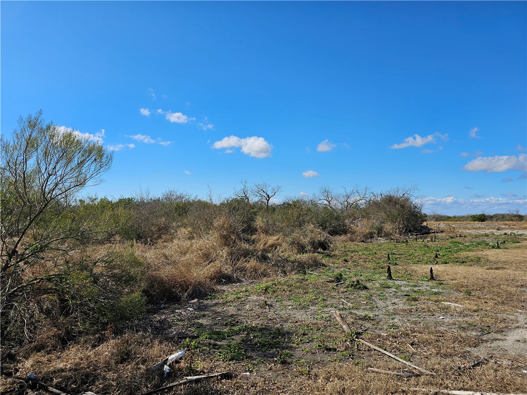 1918 1st Street Bayside, TX 78340 - Photo 4 of 8