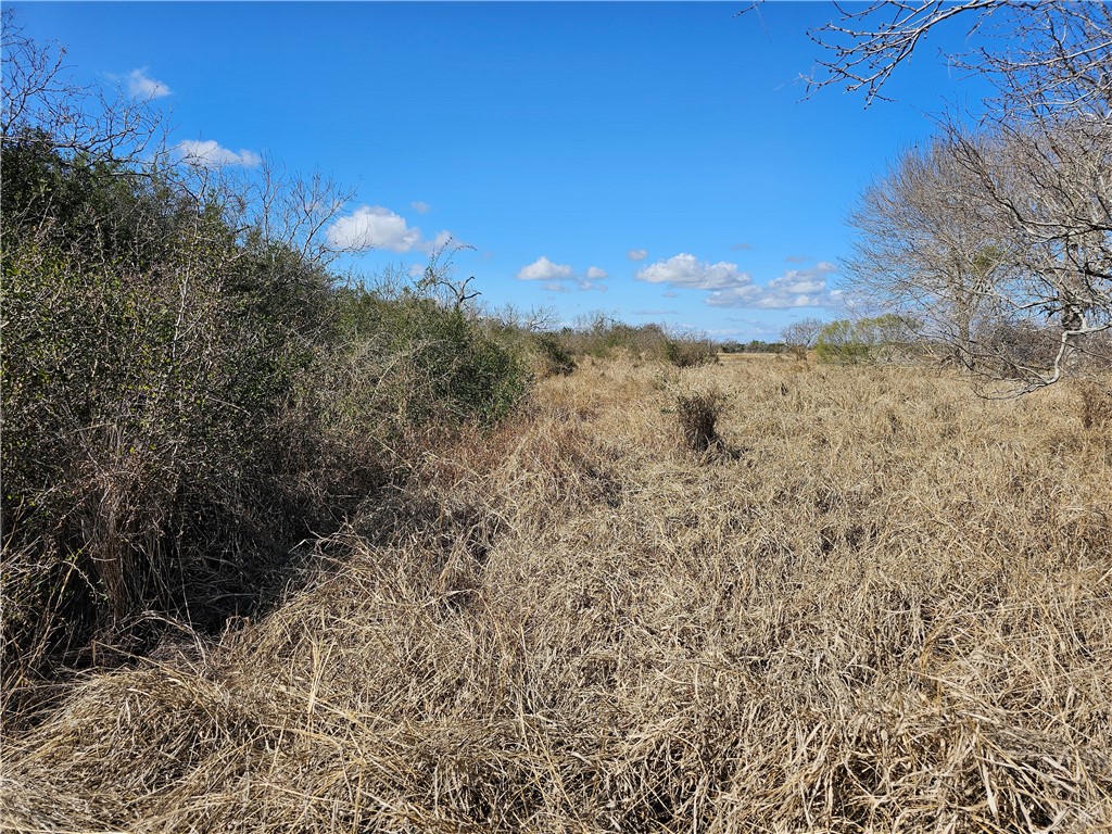 1918 1st Street Bayside, TX 78340 - Photo 5 of 8