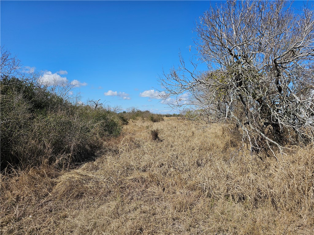 1918 1st Street Bayside, TX 78340 - Photo 6 of 8