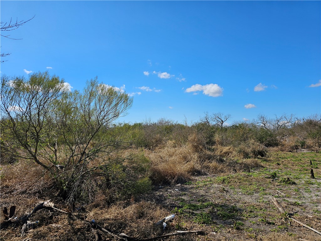 1918 1st Street Bayside, TX 78340 - Photo 7 of 8