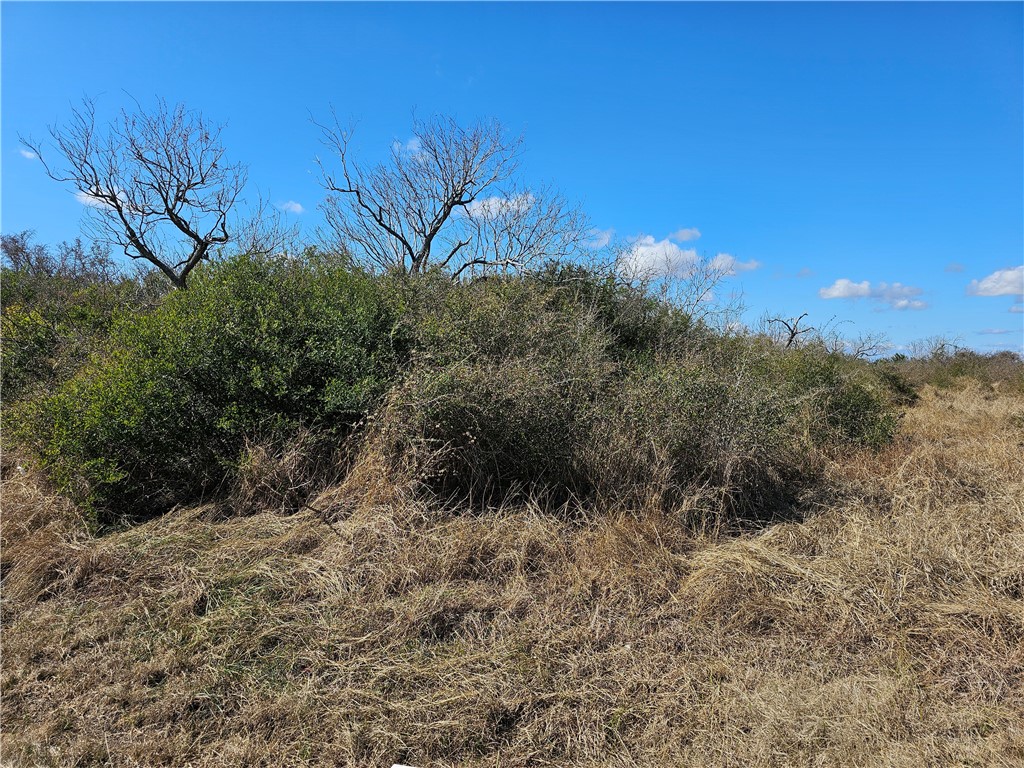 1918 1st Street Bayside, TX 78340 - Photo 8 of 8