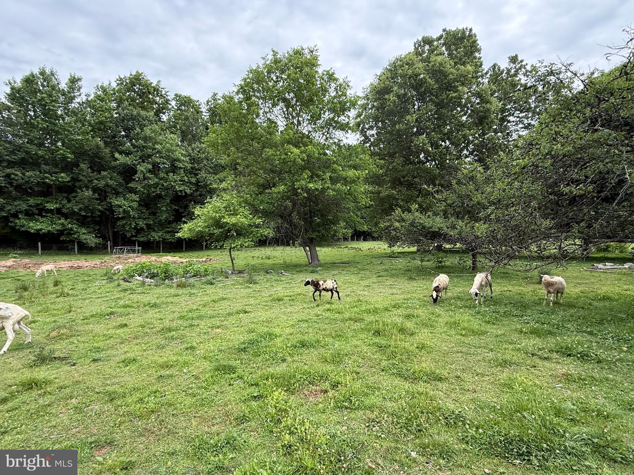 204 Alloway Aldine Road Woodstown, NJ 08098 - Photo 17 of 19