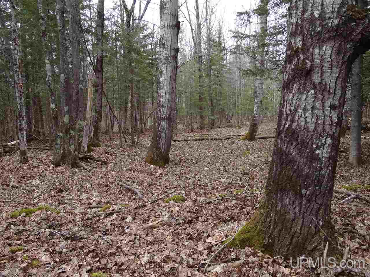 Tbd Dogpatch Road, Unit LOT I Lanse, MI 49946 - Photo 19 of 25