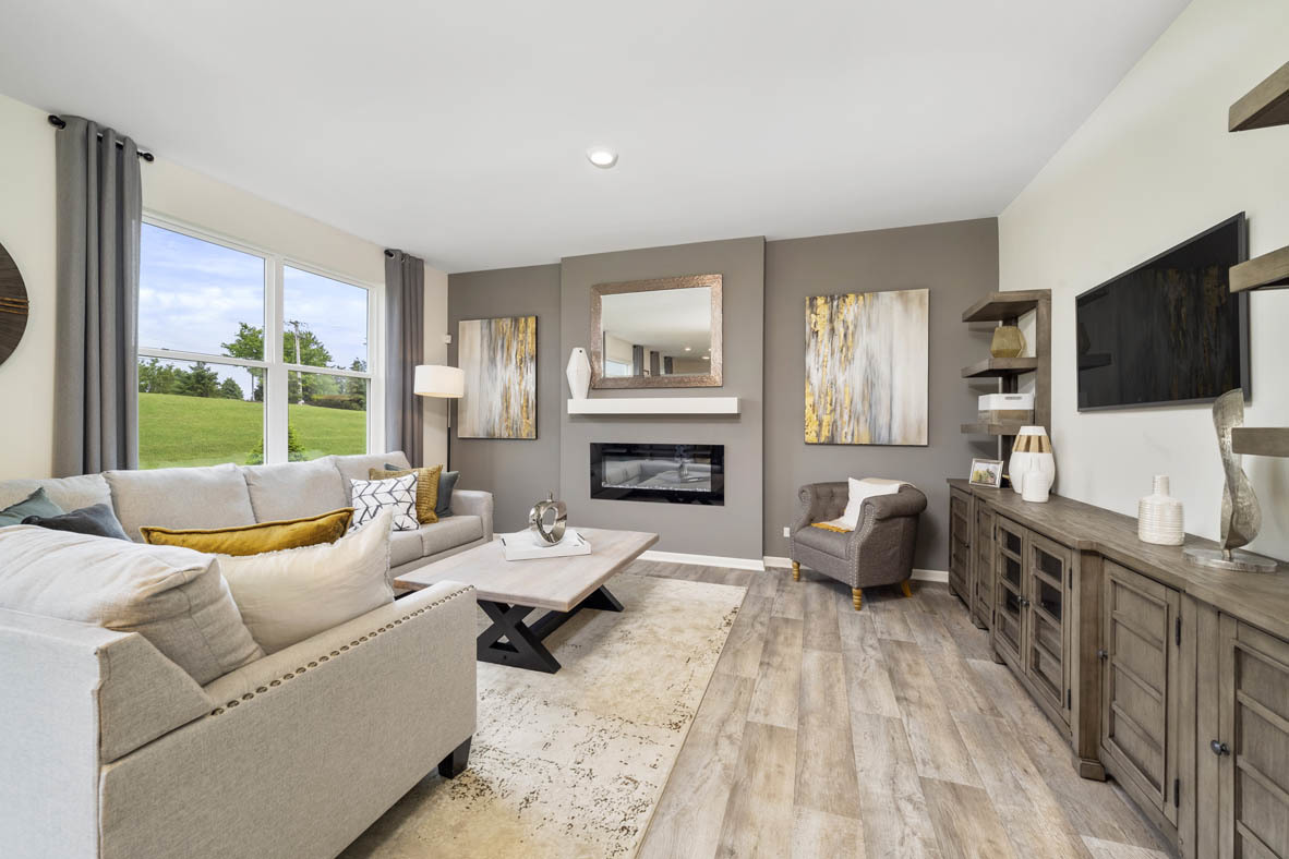 Undisclosed Address Elgin, IL 60124 - Photo 9 of 19 a living room with furniture and a flat screen tv