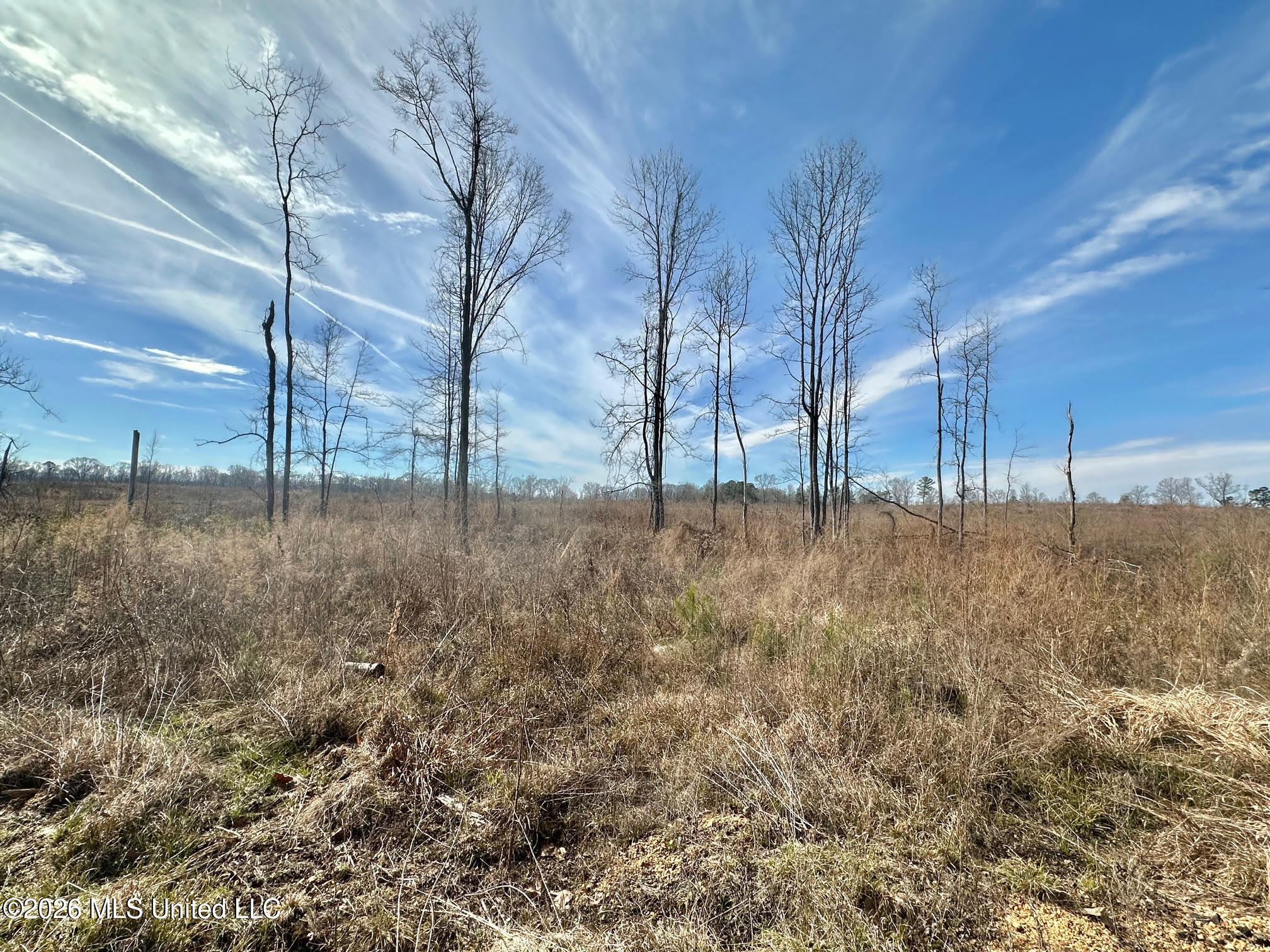0 Prentiss Crump Road Utica, MS 39175 - Photo 7 of 15 553 - Copy