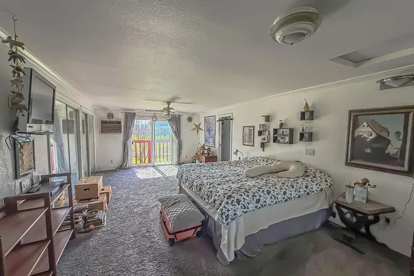 a view of a yard with chairs