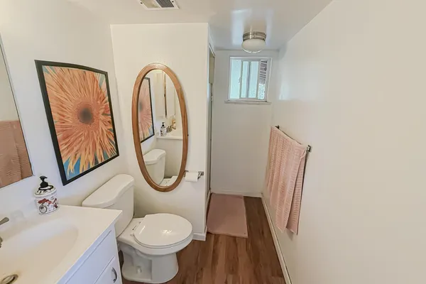 a view of a yard with plants and large trees